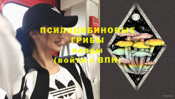 индика Ростов